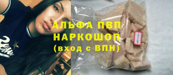 хмурый Алзамай