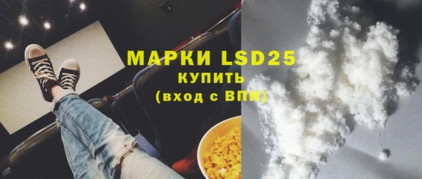 хмурый Алзамай