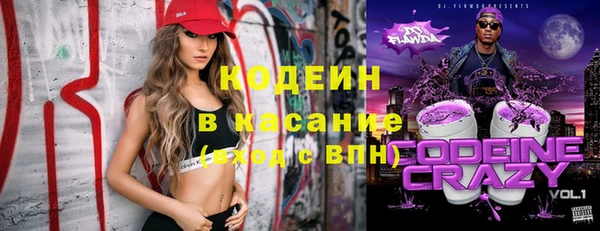 хмурый Алзамай