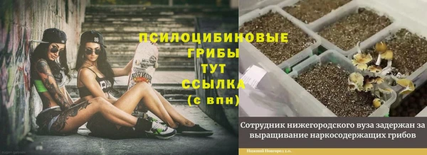 каннабис Алексин