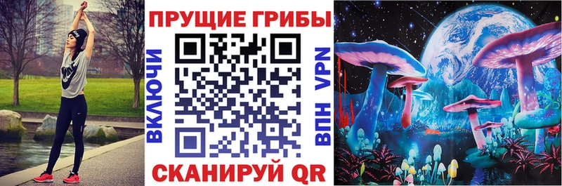 мориарти Telegram  Петушки  Псилоцибиновые грибы мухоморы 